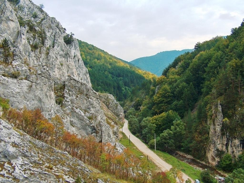 Cabana Poiana Galdei Zewnętrze zdjęcie