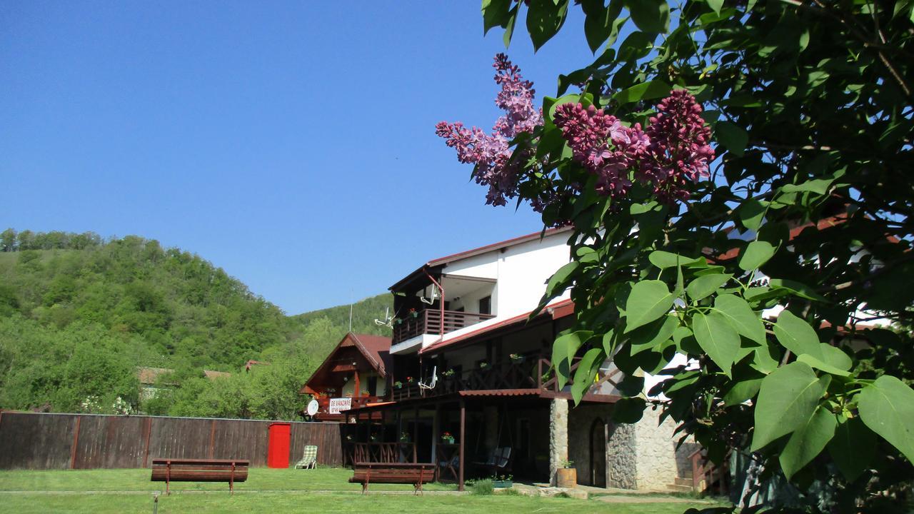 Cabana Poiana Galdei Zewnętrze zdjęcie